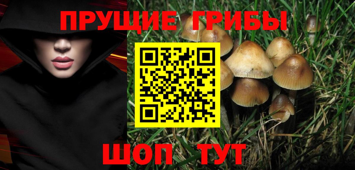 Псилоцибиновые грибы Psilocybe  магазин продажи наркотиков  Псилоцибиновые грибы прущие грибы  Еманжелинск  Вход с VPN 